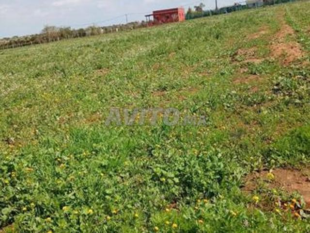 Propriété vente à Slimane, Gharb-Chrarda-Beni Hssen