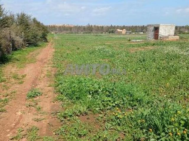 Propriété vente à Slimane, Gharb-Chrarda-Beni Hssen