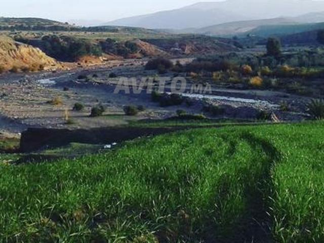 Propriété vente à Préfecture de Marrakech عمالة مراكش, Marrakech-Safi ⵎⵕⵕⴰⴽⵛ-ⴰⵙⴼⵉ مراكش-أسفي