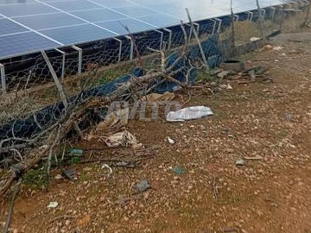 Propriété vente à Mellal