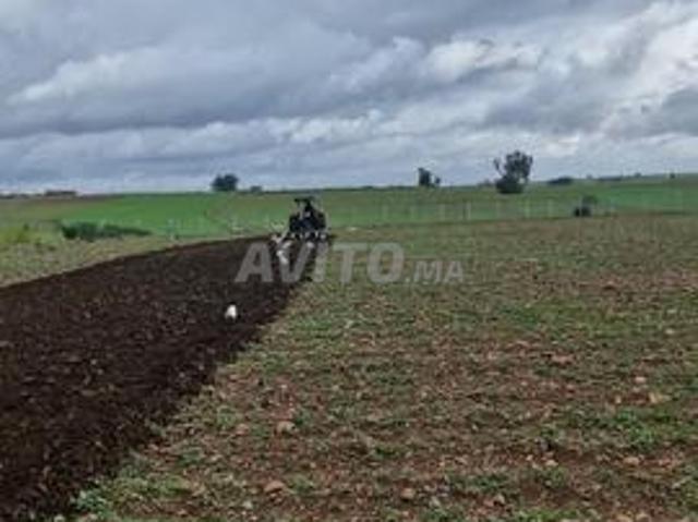 Propriété vente à El Ma, Gharb-Chrarda-Beni Hssen