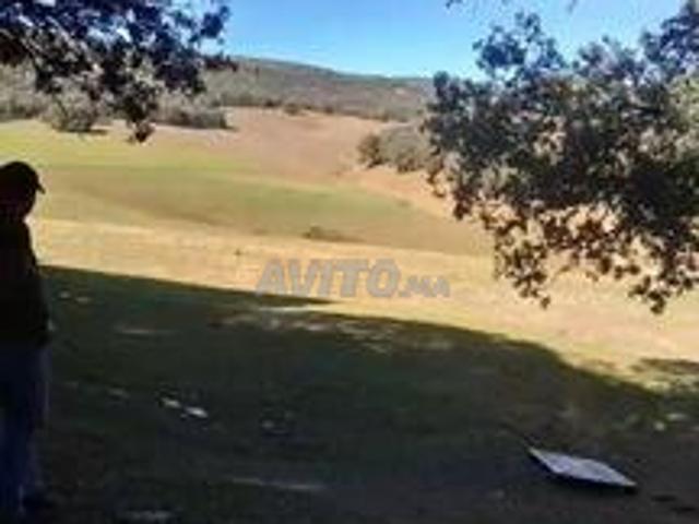 Propriété vente à Ifrane