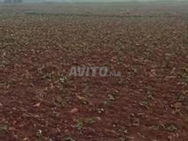 Propriété vente à El Ma, Gharb-Chrarda-Beni Hssen