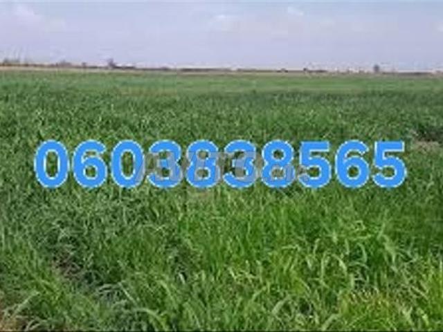 Propriété vente à Berrechid, Gharb-Chrarda-Beni Hssen