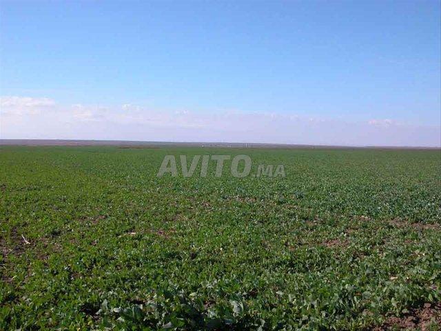 Propriété vente à Berrechid, Gharb-Chrarda-Beni Hssen