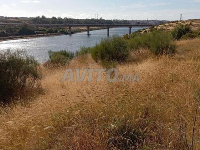 Propriété vente à El Ma, Gharb-Chrarda-Beni Hssen