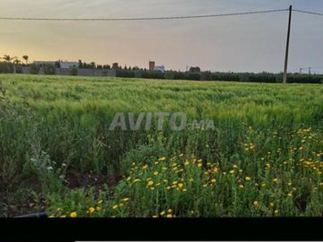 Propriété vente à El Gara, Gharb-Chrarda-Beni Hssen