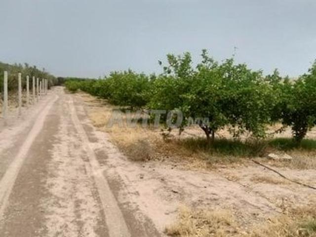 Propriété vente à Agadir, Oued ed Dahab-Lagouira