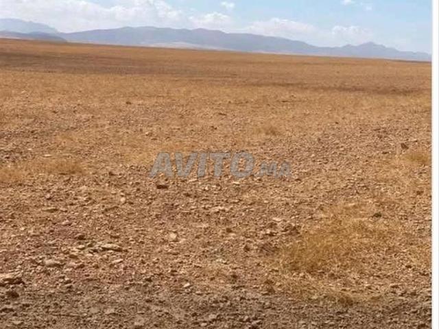 Propriété vente à Meknès