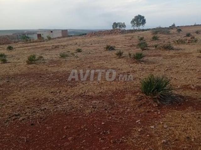 Propriété vente à Azrou