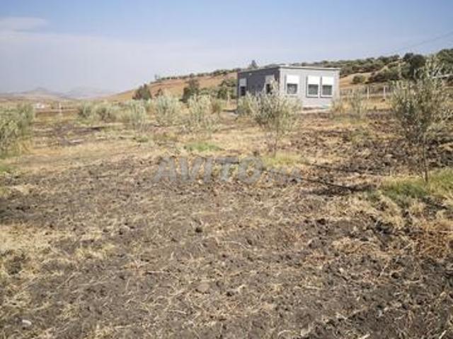 Propriété vente à Jorf El Melha