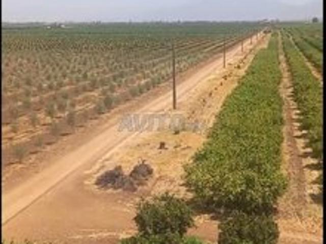 Propriété vente à Settat, Gharb-Chrarda-Beni Hssen