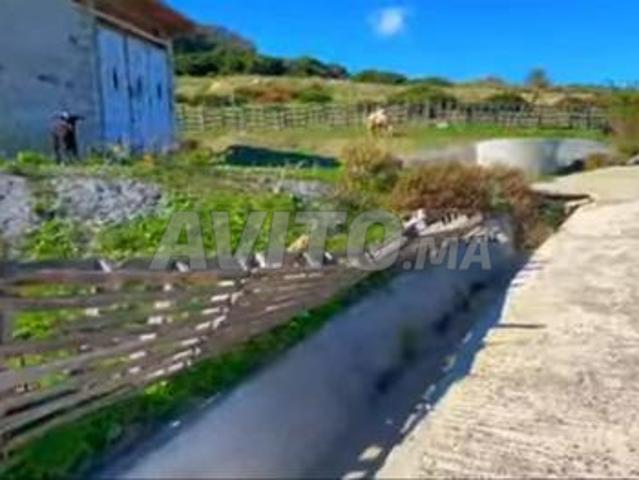 Propriété vente à Tétouan, Tanger-Tétouan