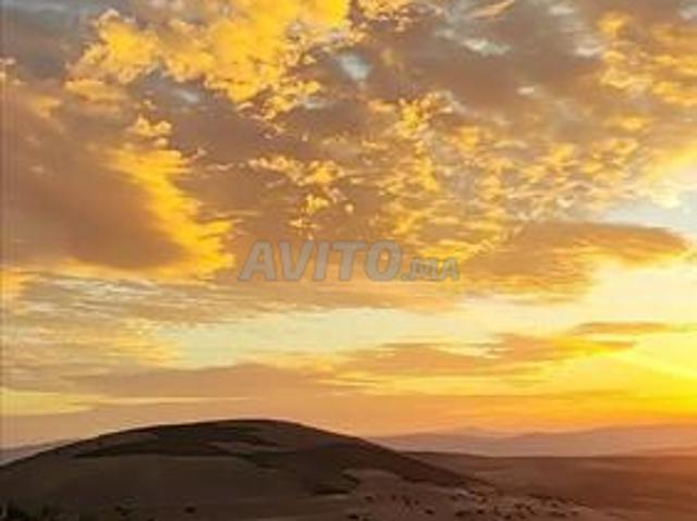 Propriété vente à Sidi Qacem