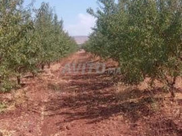 Propriété vente à Meknès