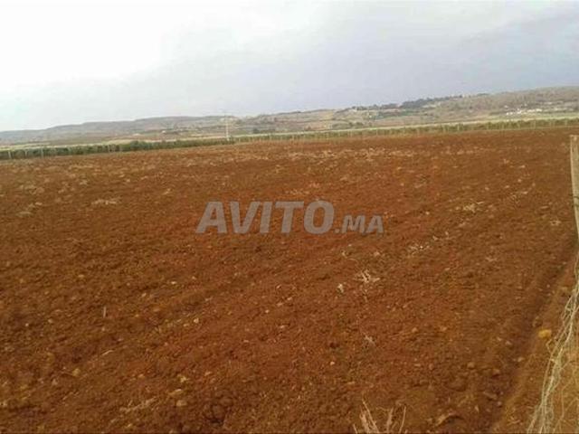 Propriété vente à Berrechid, Gharb-Chrarda-Beni Hssen