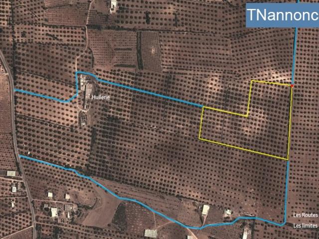 Terrain location