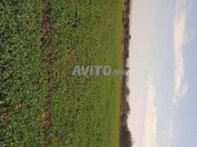 Propriété vente à Berkane