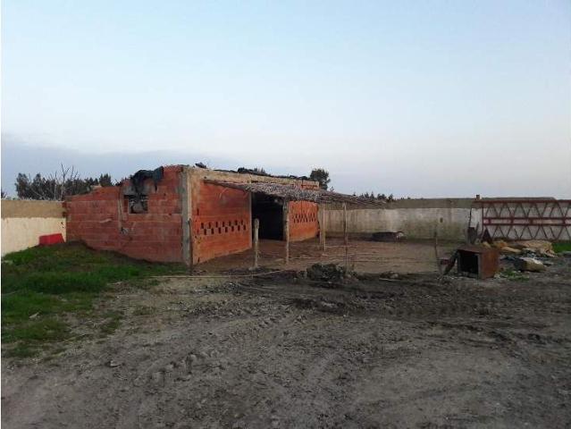 Ferme vente à Ariana Ville