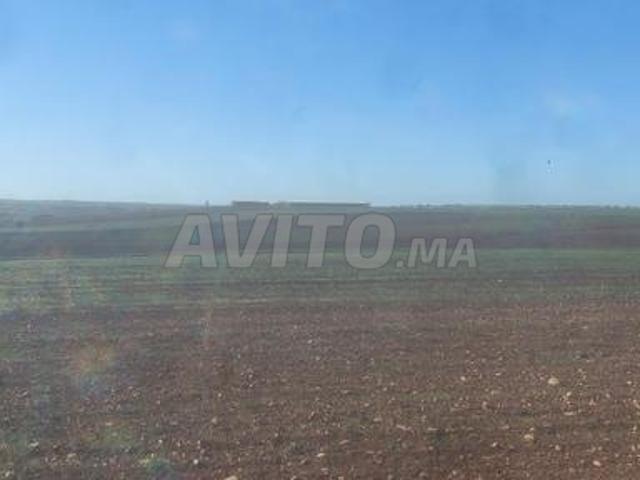 Propriété vente à Settat, Gharb-Chrarda-Beni Hssen