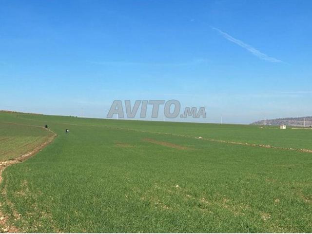 Propriété vente à Ben Ahmed, Gharb-Chrarda-Beni Hssen