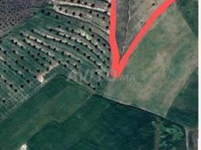 Propriété vente à Settat, Gharb-Chrarda-Beni Hssen