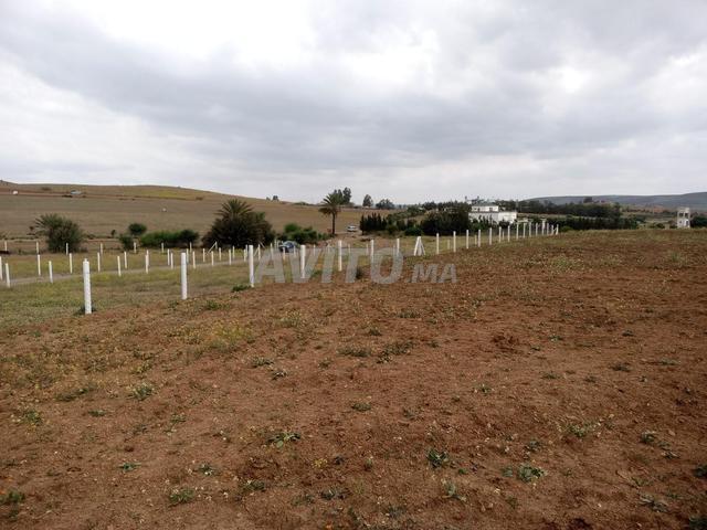 Propriété vente à Slimane, Gharb-Chrarda-Beni Hssen
