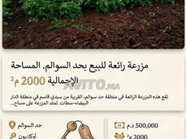Propriété vente à Had Soualem, Gharb-Chrarda-Beni Hssen