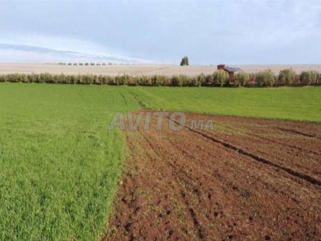 Propriété vente à Slimane, Gharb-Chrarda-Beni Hssen
