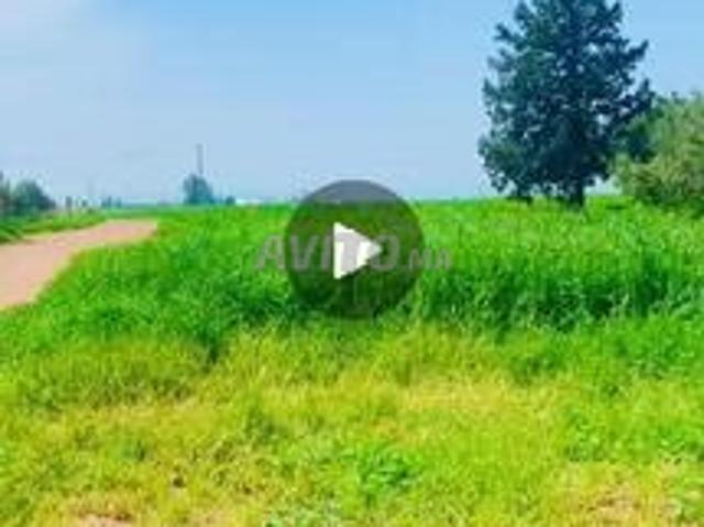 Propriété vente à Ben Ahmed, Gharb-Chrarda-Beni Hssen