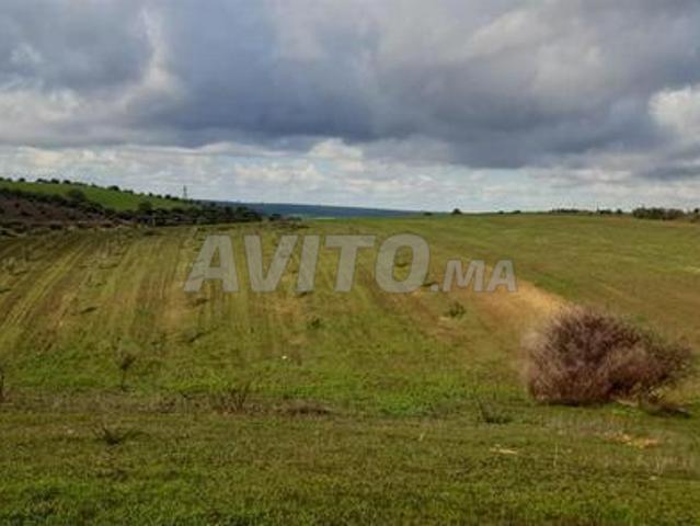 Propriété vente à Khémisset