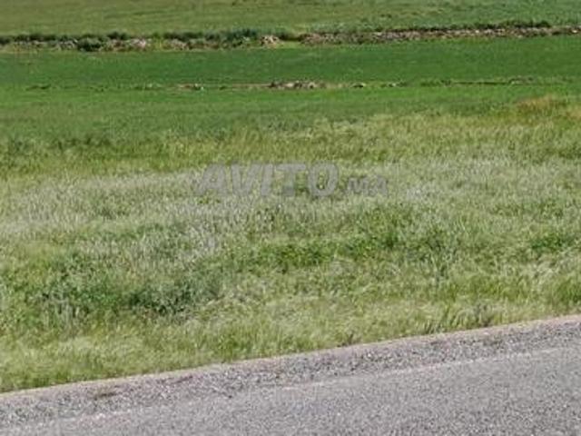 Propriété vente à Anfa, Ben M'sick