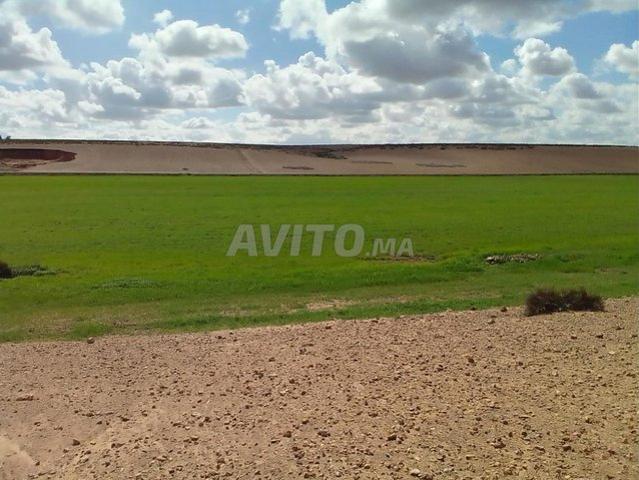 Propriété vente à Sidi Hajjaj, Gharb-Chrarda-Beni Hssen
