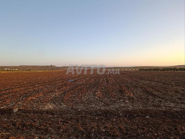 Propriété vente à Zouagha, Fès