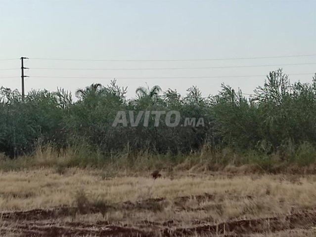 Propriété vente à Al Haouz, Marrakech-Tensift-Al Haouz