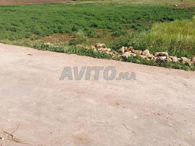Propriété vente à El Ma, Gharb-Chrarda-Beni Hssen