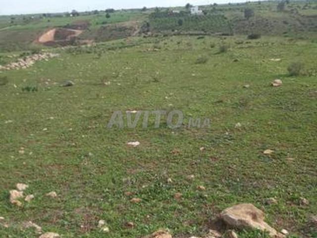 Propriété vente à El Ma, Gharb-Chrarda-Beni Hssen