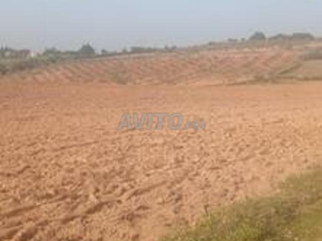 Propriété vente à Larache, Tanger-Tétouan