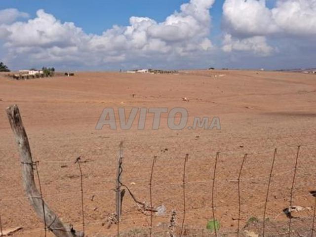 Propriété vente à Sidi Allal El Bahraoui