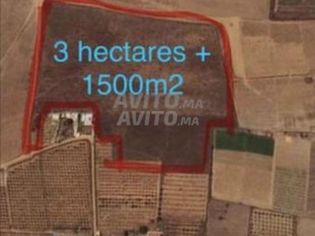 Propriété vente à Sidi Allal El Bahraoui