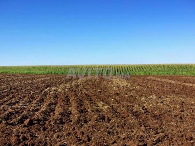 Propriété vente à Rbat
