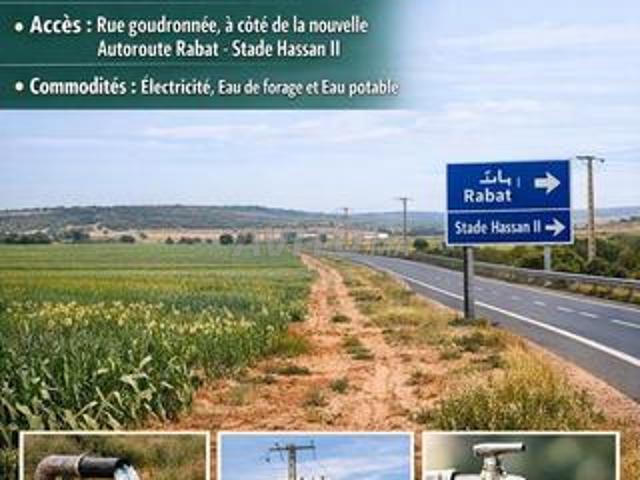 Propriété vente à Gharb-Chrarda-Beni Hssen