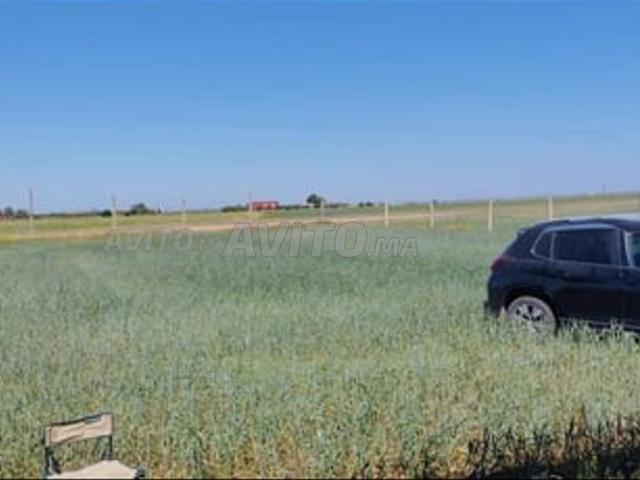 Propriété vente à Berrechid, Gharb-Chrarda-Beni Hssen