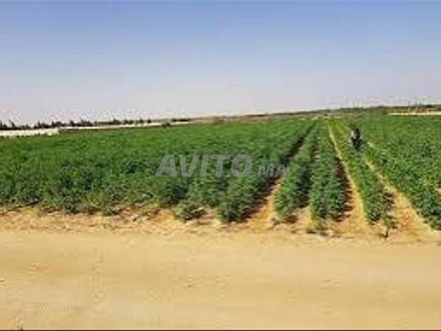 Propriété vente à Berrechid, Gharb-Chrarda-Beni Hssen