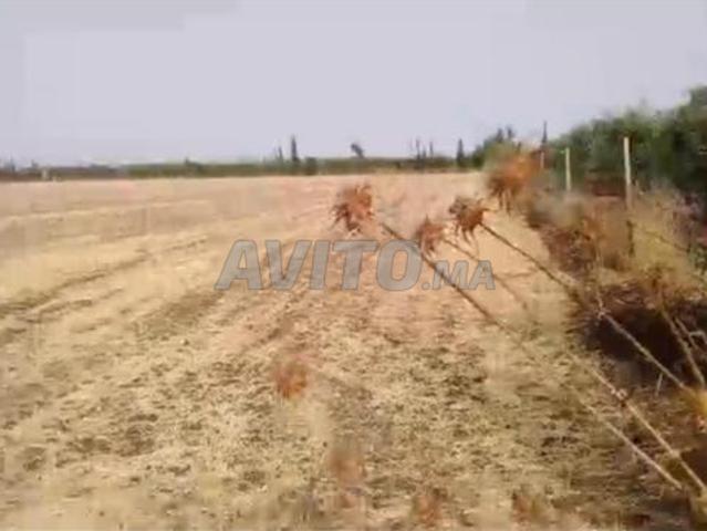 Propriété vente à Slimane, Gharb-Chrarda-Beni Hssen