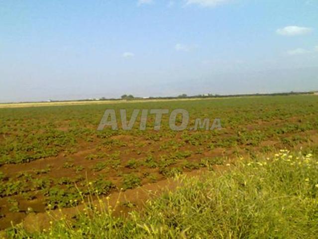 Propriété vente à El Ma, Gharb-Chrarda-Beni Hssen