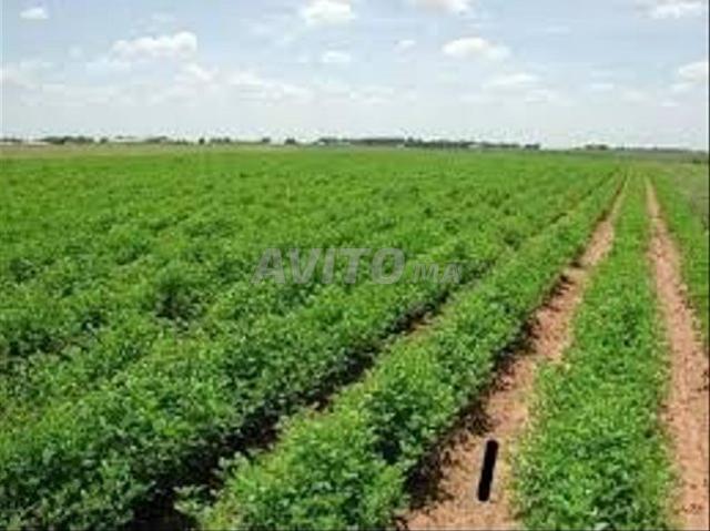 Propriété vente à Anfa, Gharb-Chrarda-Beni Hssen