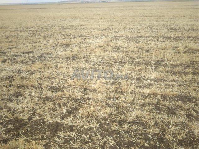 Propriété vente à Berrechid, Chaouia-Ouardigha