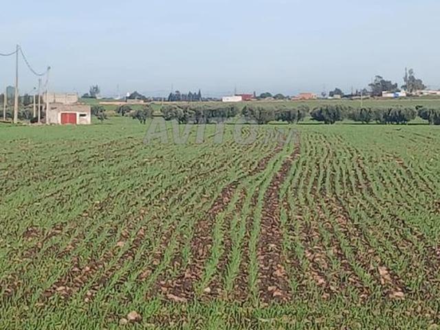 Propriété vente à Settat, Gharb-Chrarda-Beni Hssen