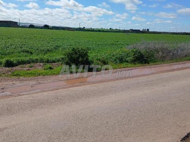 Propriété vente à Settat, Gharb-Chrarda-Beni Hssen
